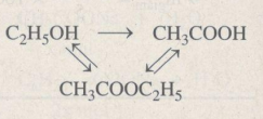 SBT Hóa học 9 Bài 48: Luyện tập - Rượu etylic, axit axetic, và chất béo | Giải SBT Hóa học lớp 9 (ảnh 1)