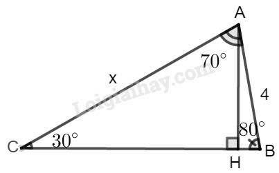 SBT Toán 9 Bài 2: Tỉ số lượng giác của góc nhọn | Giải SBT Toán lớp 9 (ảnh 13)