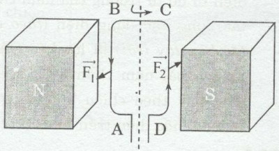 SBT Vật lí 9 Bài 27: Lực điện từ | Giải SBT Vật lí lớp 9 (ảnh 5)