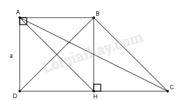 SBT Toán 9 Ôn tập chương 1: Hệ thức lượng trong tam giác vuông | Giải SBT Toán lớp 9 (ảnh 4)