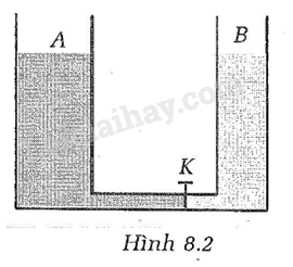 SBT Vật lí 8 Bài 8: Áp suất chất lỏng - Bình thông nhau | Giải SBT Vật lí lớp 8 (ảnh 2)
