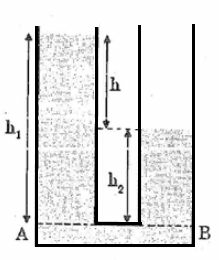 SBT Vật lí 8 Bài 8: Áp suất chất lỏng - Bình thông nhau | Giải SBT Vật lí lớp 8 (ảnh 5)