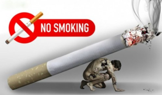 Tóm tắt Ôn dịch thuốc lá nhanh nhất, ngắn ngọn (9 mẫu) (ảnh 3)
