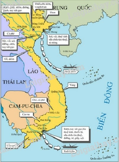 Vở bài tập Lịch sử lớp 9 Bài 14: Việt Nam sau Chiến tranh thế giới thứ nhất | Giải VBT Lịch sử lớp 9. (ảnh 2)