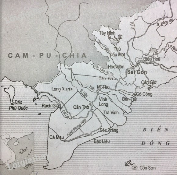 Vở bài tập Lịch sử lớp 9 Bài 21: Việt Nam trong những năm 1939 - 1945 | Giải VBT Lịch sử lớp 9. (ảnh 5)