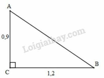 Giải Toán 9 Bài 2: Tỷ số lượng giác của góc nhọn  (ảnh 9)