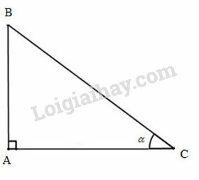 Giải Toán 9 Bài 2: Tỷ số lượng giác của góc nhọn  (ảnh 14)