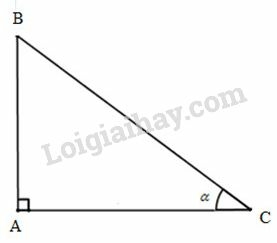 Giải Toán 9 Bài 2: Tỷ số lượng giác của góc nhọn  (ảnh 15)