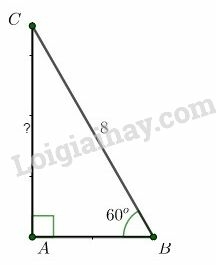 Giải Toán 9 Bài 2: Tỷ số lượng giác của góc nhọn  (ảnh 16)