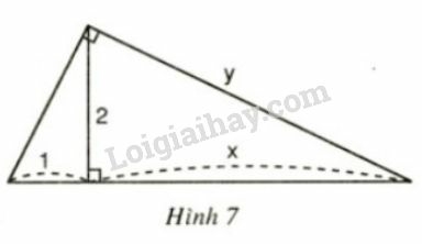 Giải Toán 9 Bài 1: Một số hệ thức về cạnh và đường cao trong tam giác vuông (ảnh 15)