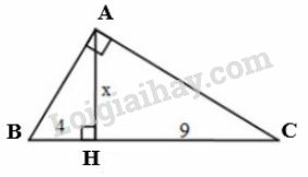 Giải Toán 9 Bài 1: Một số hệ thức về cạnh và đường cao trong tam giác vuông (ảnh 29)