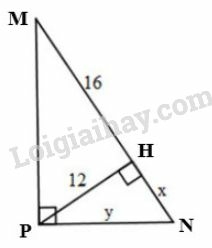 Giải Toán 9 Bài 1: Một số hệ thức về cạnh và đường cao trong tam giác vuông (ảnh 31)