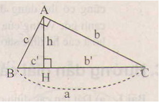 Giải Toán 9 Bài 1: Một số hệ thức về cạnh và đường cao trong tam giác vuông (ảnh 10)