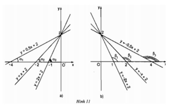 Giải Toán 9 Bài 5: Hệ số góc của đường thẳng y = ax + b ( a # 0)  (ảnh 1)