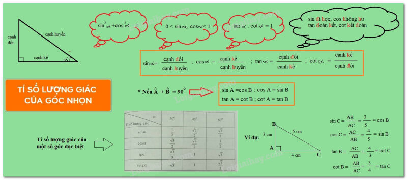 Giải Toán 9 Bài 2: Tỷ số lượng giác của góc nhọn  (ảnh 22)