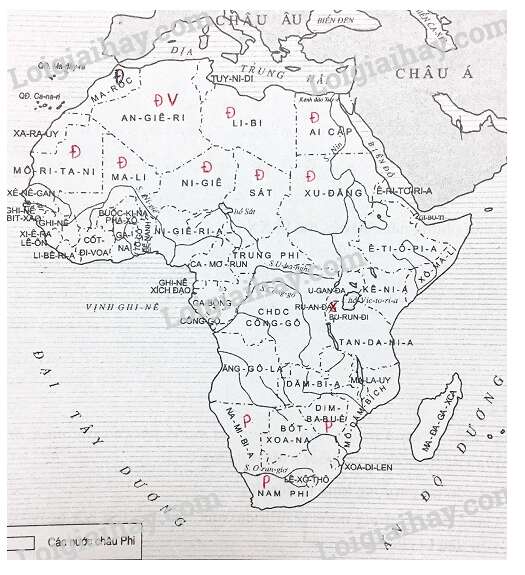 Vở bài tập Lịch sử lớp 9 Bài 6: Các nước châu Phi | Giải VBT Lịch sử lớp 9 (ảnh 2)