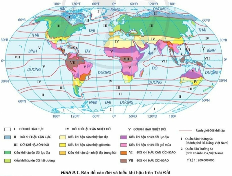 Địa Lí 10 Bài 9: Đọc bản đồ: Các đới khí hậu trên Trái Đất. Phân tích biểu đồ một số kiểu khí hậu | Cánh diều (ảnh 3)