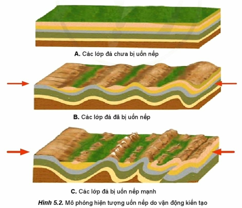 Địa Lí 10 Bài 5: Thạch quyển. Nội lực và tác động của nội lực đến địa hình bề mặt Trái Đất | Cánh diều (ảnh 3)