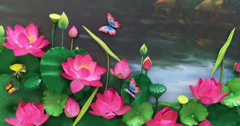 Hình ảnh hoa sen Hoa sen là một trong những biểu tượng của nền văn hóa Việt Nam. Hình ảnh hoa sen đầy sắc màu, tươi đẹp và trong sáng luôn mang đến cho người xem những cảm giác tuyệt vời. Nếu bạn đang tìm kiếm những hình ảnh về hoa sen, hãy đến với chúng tôi và cùng khám phá bức ảnh đẹp nhất.