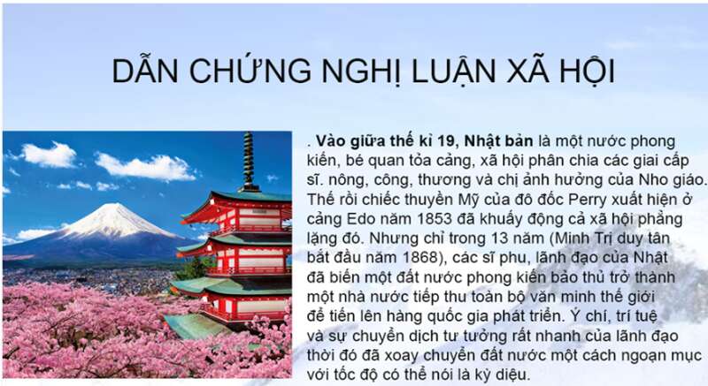 Dẫn chứng nghị luận xã hội (ảnh 2)