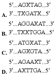 Trắc nghiệm tự luận phần Gen, ADN - Sinh học 12 (ảnh 1)