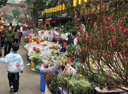 Top 12 bài Tả cảnh chợ hoa ngày Tết hay nhất (ảnh 2)