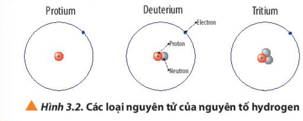 Quan sát Hình 3.2, so sánh điểm giống và khác nhau giữa các loại nguyên tử của nguyên tố hydrogen (ảnh 1)