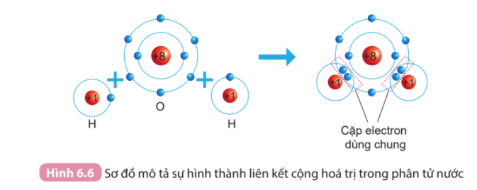Chi tiết 65 về mô hình h2o mới nhất  Tin học Đông Hòa