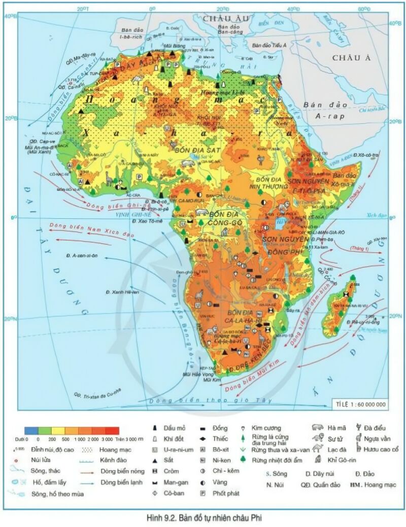 Địa lý châu Phi: Hãy tưởng tượng một chuyến phiêu lưu đến châu Phi, khám phá vô vàn bí ẩn đằng sau địa lý huyền bí của lục địa này. Đây chắc chắn sẽ là một trải nghiệm đầy kích thích, với những cảnh đẹp hoang sơ, những thành phố bùng nổ và những bộ lạc đầy màu sắc.