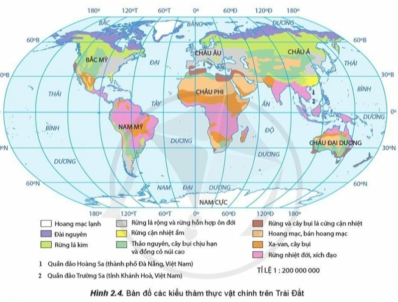 Địa Lí 10 Bài 13: Thực hành: Phân tích bản đồ, sơ đồ về phân bố của đất và sinh vật trên thế giới | Cánh diều (ảnh 3)