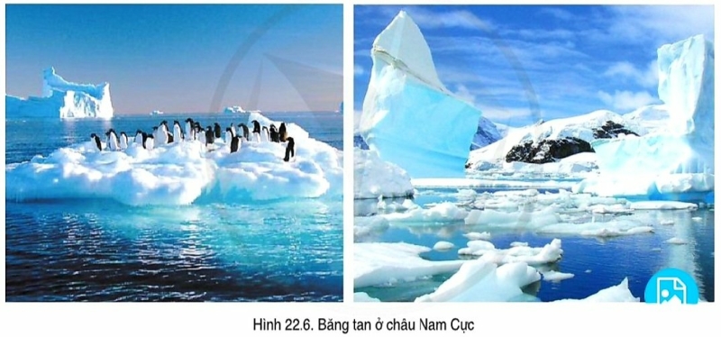 Địa lí 7 Bài 22: Châu Nam Cực | Cánh diều (ảnh 6)