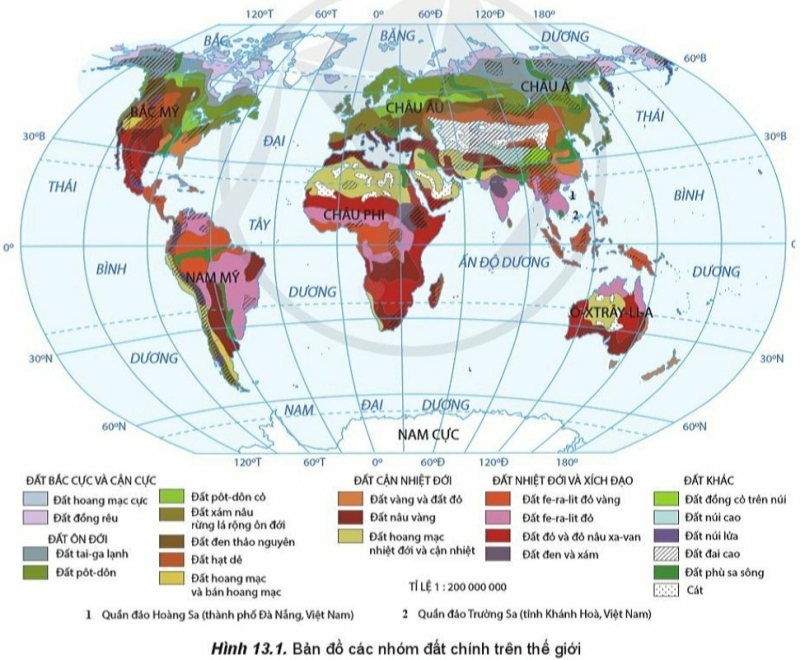 Địa Lí 10 Bài 13: Thực hành: Phân tích bản đồ, sơ đồ về phân bố của đất và sinh vật trên thế giới | Cánh diều (ảnh 2)
