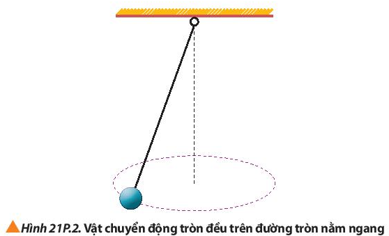 Vật Lí 10 Bài 21: Động lực học của chuyển động tròn. Lực hướng tâm | Giải Lí 10 Chân trời sáng tạo (ảnh 3)