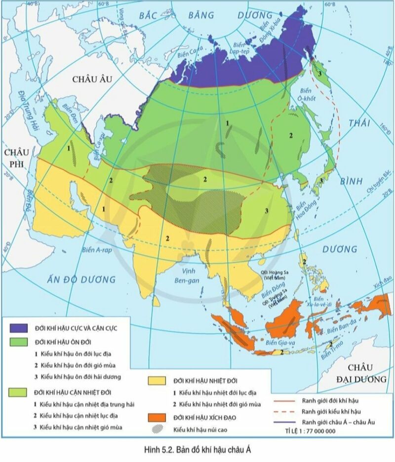 Địa lí 7 Bài 7: Bản đồ chính trị Châu Á. Các khu vực Châu Á | Cánh diều (ảnh 3)