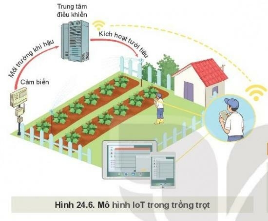 Công nghệ 10 Bài 24: Một số công nghệ cao trong trồng trọt | Kết nối tri thức (ảnh 3)