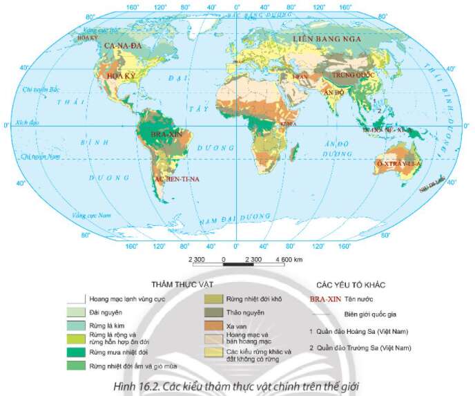 Địa Lí 10 Bài 16: Thực hành phân tích sự phân bố của đất và sinh vật trên Trái Đất | Chân trời sáng tạo (ảnh 2)