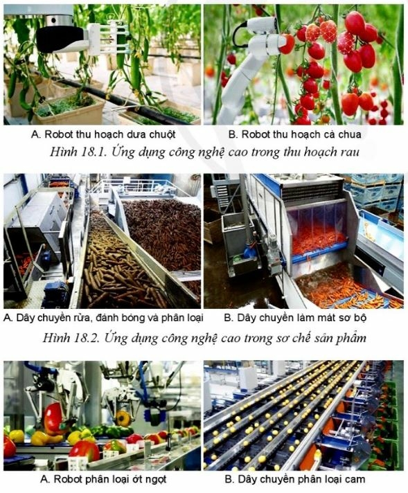 Công nghệ 10 Bài 18: Ứng dụng công nghệ cao trong thu hoạch, bảo quản và chế biến sản phẩm trồng trọt | Cánh diều (ảnh 1)