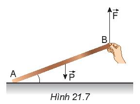 Vật Lí 10 Bài 21: Moment lực. Cân bằng của vật rắn | Giải Lí 10 Kết nối tri thức (ảnh 6)