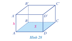 Giải SGK Toán 7 Bài 2 (Cánh diều): Hình lăng trụ đứng tam giác. Hình lăng trụ đứng tứ giác (ảnh 1)