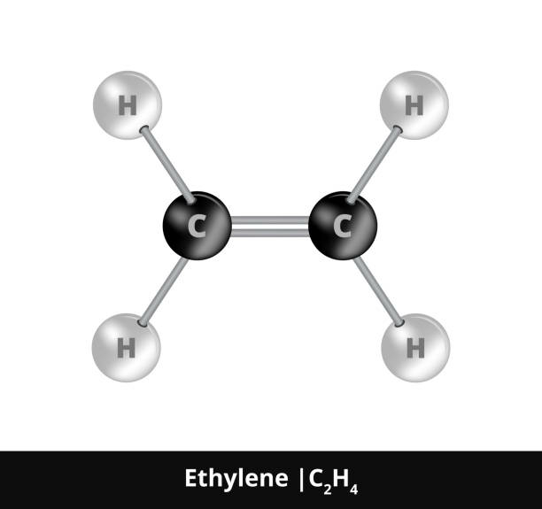 C2H4 (eten): Tính chất vật lý, tính chất hóa học, ứng dụng và cách điều chế (ảnh 2)