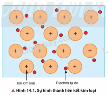 Lý thuyết Đặc điểm cấu tạo và liên kết kin loại. Tính chất kim loại (Hóa 12 Chân trời sáng tạo 2024) (ảnh 1)