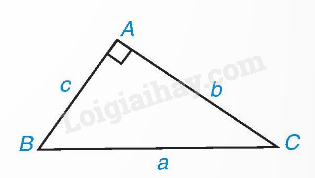 Lý thuyết Một số hệ thức giữa cạnh, góc trong tam giác vuông và ứng dụng (Kết nối tri thức 2024) | Lý thuyết Toán 9 (ảnh 2)