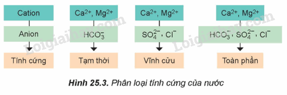 Lý thuyết Nguyên tố nhóm IIA (Hóa 12 Kết nối tri thức 2024) (ảnh 1)