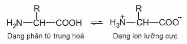 Lý thuyết Amino acid và peptide (Hóa 12 Kết nối tri thức 2024) (ảnh 5)