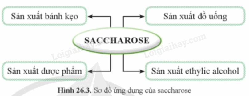 Lý thuyết KHTN 9 Bài 26 (Cánh diều 2024): Glucose và saccharose (ảnh 1)