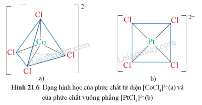 Lý thuyết Sơ lược về phức chất (Hóa 12 Cánh diều 2024) (ảnh 1)