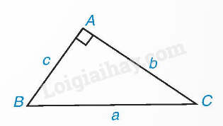 Lý thuyết Hệ thức giữa cạnh và góc của tam giác vuông (Chân trời sáng tạo 2024) | Lý thuyết Toán 9 (ảnh 1)