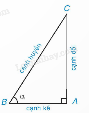 Lý thuyết Tỉ số lượng giác của góc nhọn (Cánh diều 2024) | Lý thuyết Toán 9 (ảnh 1)