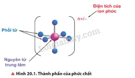 Lý thuyết Sơ lược về phức chất và sự hình thành phức chất của ion kim loại chuyển tiếp trong dung dịch (Hóa 12 Chân trời sáng tạo 2024) (ảnh 2)