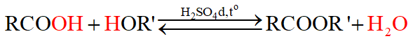 Lý thuyết Ester – Lipid (Hóa 12 Cánh diều 2024) (ảnh 5)